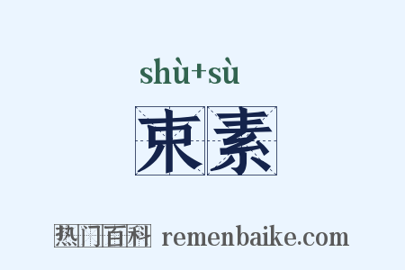 束素是什么意思的图片